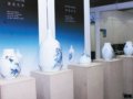 30件青花瓷作品赠世界园艺博览会