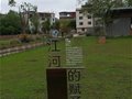 景德镇观音阁窑址发掘的考古突破与时代意义
